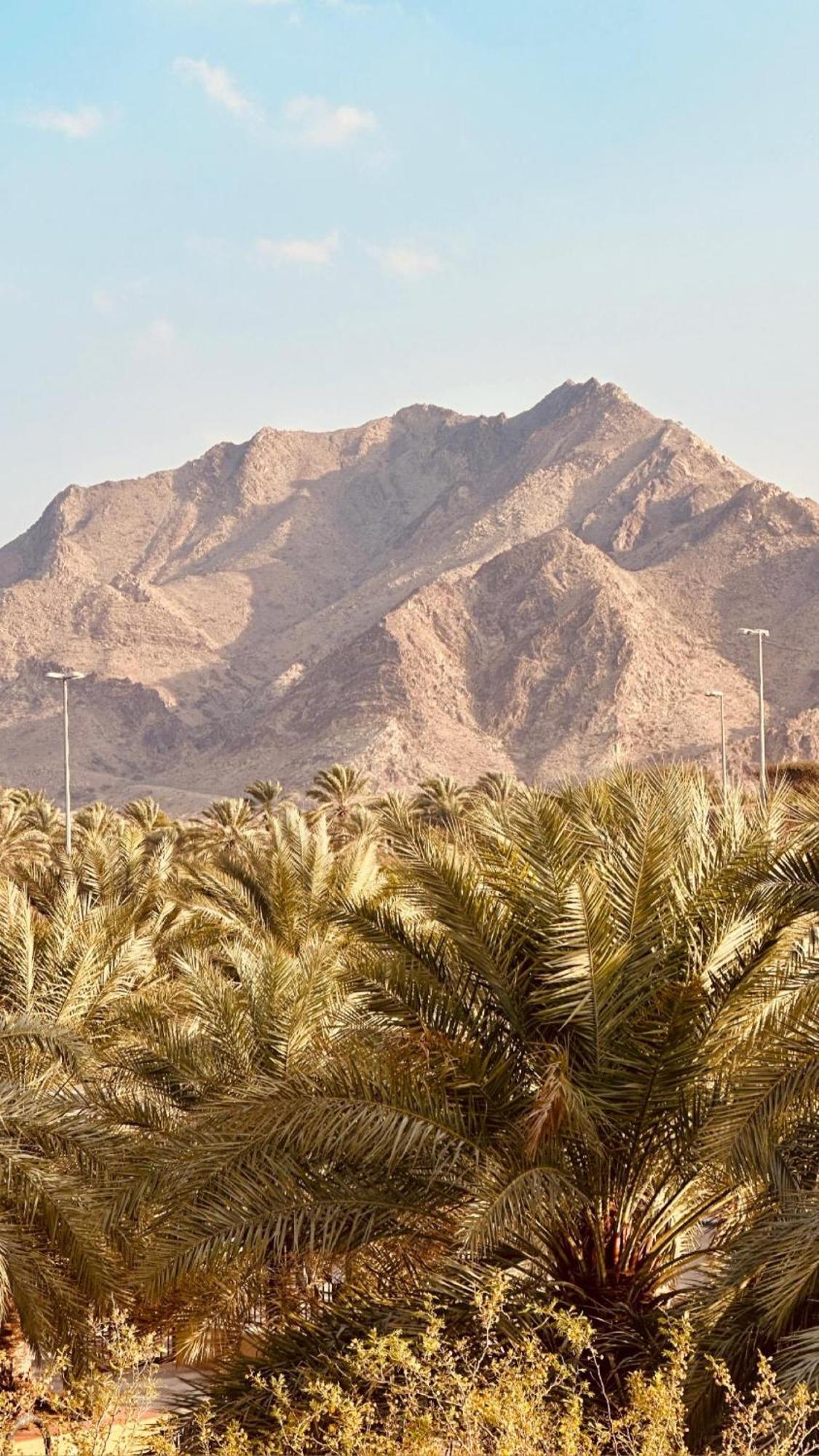 Hatta Retreat Private Pool Wadi Hub For Activities Exterior photo